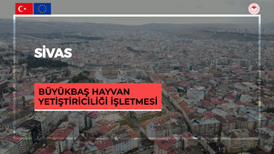 Sivas