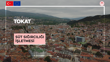 Tokat
